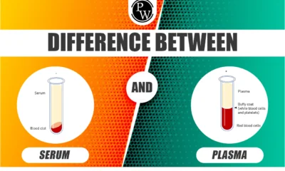 plasma vs serum